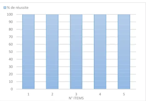 Figure 9. Pourcentage de réussite par item à la tâche de segmentation.