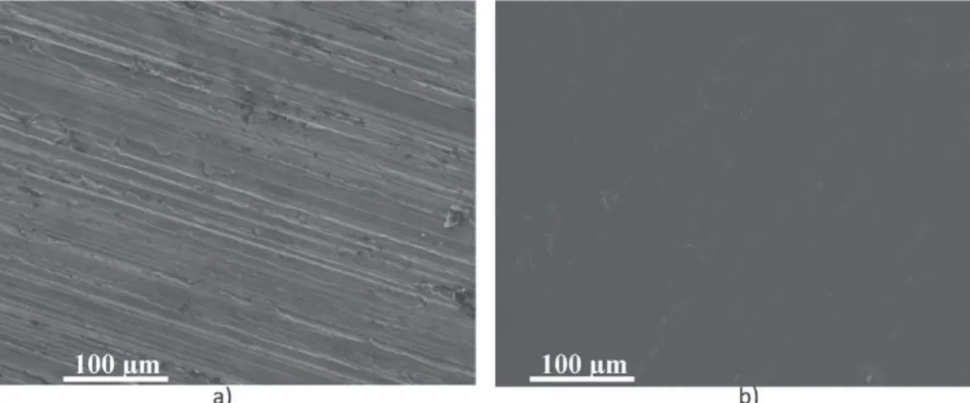 Fig. 1. Micrographs of stainless steel substrates (a) substrate R1 and (b) substrate R2.
