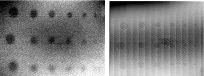 Figure 1: 2D defect map, IR thermography on the left and X-ray tomography on the right  This work consists in characterizing and in comparing three full-field measurement NDT in order to  define  the  defect  detection  limits,  the  advantages  and  the  