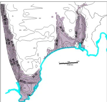 Figure 3.3—11: Localisation des points de simulation 1D (carrés violets). Les courbes de niveau  représentent l'épaisseur approximative du remplissage alluvial