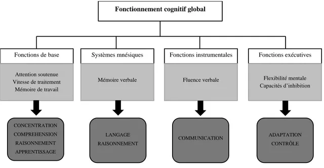 Figure 1 : Domaines cognitifs altérés durant la phase intercritique des troubles bipolaires Fonctionnement cognitif global 