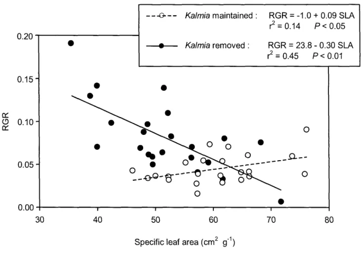 Figure 2. The relationship between relative growth rate (RGR) measured in October and average year specific leaf area  (SLA) of Picea mariana seedlings growing in the presence (open circles and dashed line) or absence (bold circles and  solid line) of Kalm