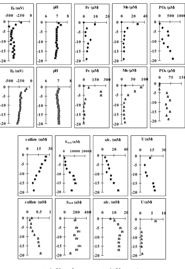 Figure  I-6 :  Profils  de  concentration  dans  les  eaux  interstitielles  des  carottes  prélevées  lors  des  campagnes de novembre 1998 (Av) et 1999 (Am) (Billon et al., 2004)