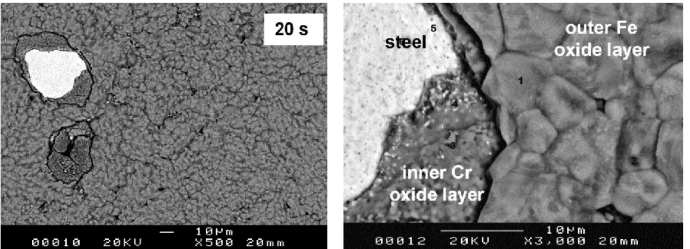 Figure 1.5. SEM surface micrographs in backscattered electrons at two different magnification  (×500 and × 3000) of oxidized specimens at 1200°C in air for 20 seconds