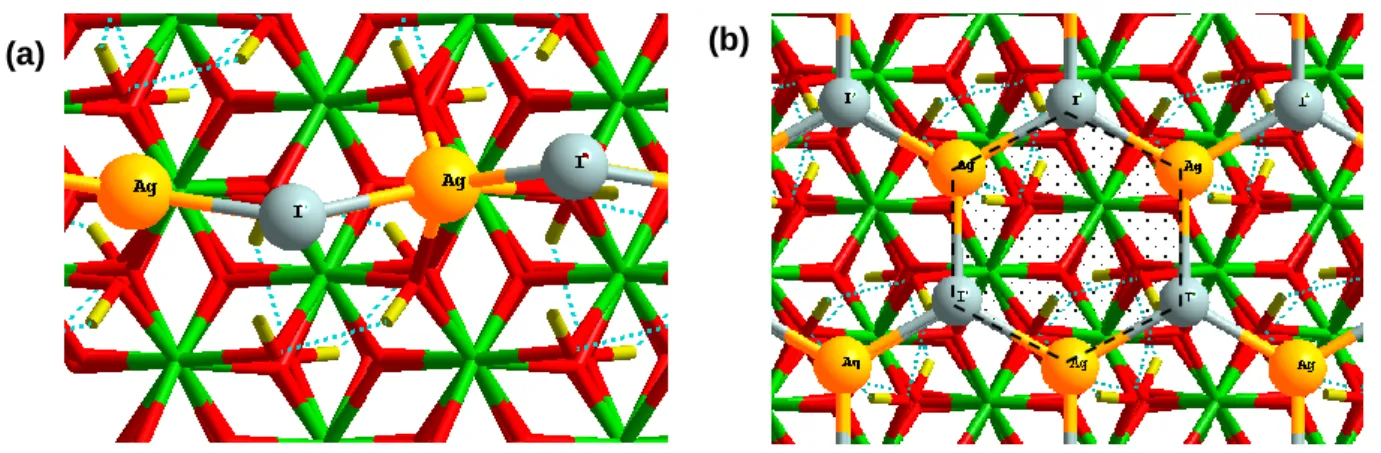 Figure  3.12.  Top  view  for  adsorption  of  AgI  with  (a)  50%  (b)  100%  coverage  on  the  Cr 2 O 3 Cr 2 (OH) 3  surface