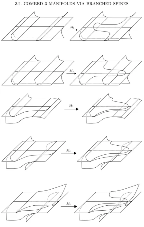 Figure 3.1. Branhed moves BMP(2,3)