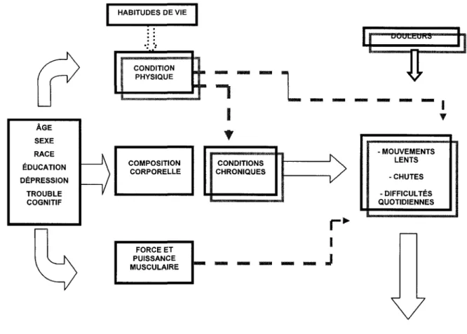 Figure 1.4. Causes liees a la perte de capacite physique 