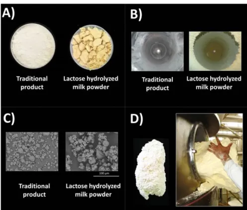Figure  4.  Problems  associated  with  production  of  lactose  hydrolyzed  milk  powder