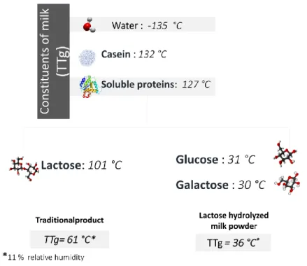 Figure  5.  Glass  transition  temperatures  (T Tg )  of  milk  constituents,  traditional  milk  powder  and  lactose  hydrolyzed  milk  powder
