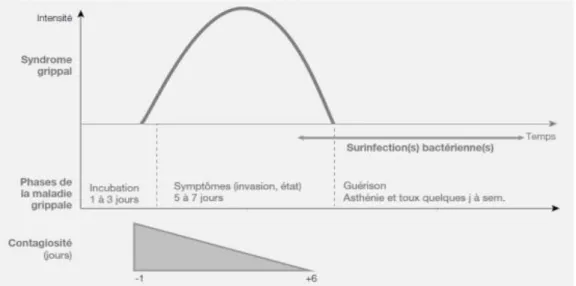 Figure 1. Schéma de synthèse de l'évolution de la grippe humaine, d'après le Collège des maladies  infectieuse et tropicales (2)] 