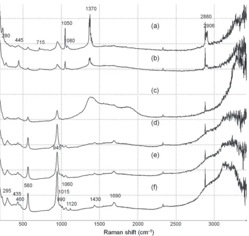 Fig. 11. Raman shift spectra of particles < 25 mm (a) and >100 mm (b) to (e) function of temperature: the runs 3 and 12 at 5 ◦ C (a) and the runs 42 and 47 at 35 ◦ C (b) may contain ACP, brucite and calcite, the runs 28 at 20 ◦ C (c) may contain stru