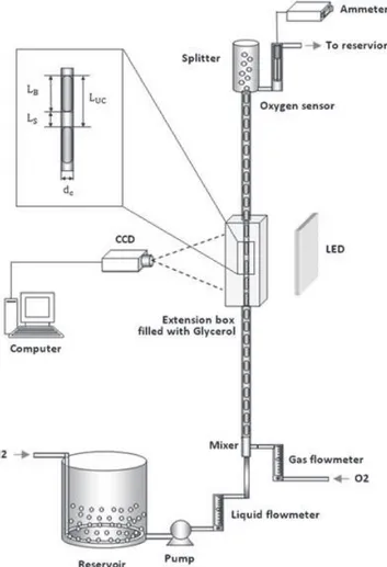 Figure 3. Experimental setup.