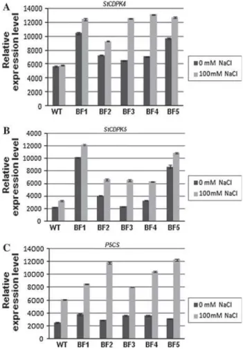 Fig. 9 RT-PCR analysis of the expression of the stress-induced genes. a StCDPK4, b StCDPK5, c P5CS in transgenic lines (BF1;