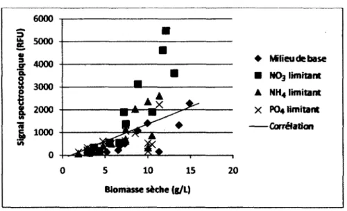 Figure 4.5 : Corrélation entre la biomasse sèche et le signal du biomarqueur  230nm/352nm  431 nm/535 nm 