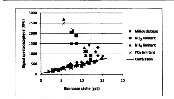 Figure 4.6 : Corrélation entre la biomasse sèche et le signal du biomarqueur 431nm/535nm 