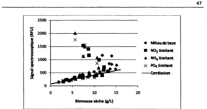 Figure 4.7 : Corrélation entre la biomasse sèche et le signal du biomarqueur 452nm/532nm 