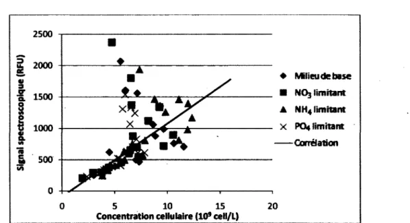 Figure 4.8 : Corrélation entre la concentration cellulaire et le signal du biomarqueur  326nm/526nm 