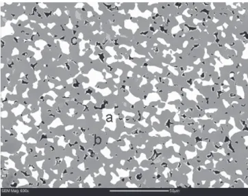 Fig. 1 shows the microstructure of the cermet from scanning electron microscopy image of backscattered electrons (BSE)