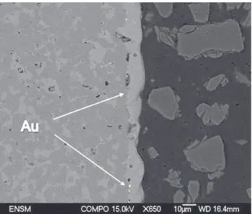 Fig. 6. Cermet after 86 h of exposure at 960 °C under 20 kPa oxygen partial pressure (gold droplets were sputtered before oxidation).
