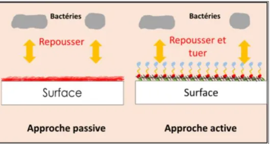 Figure 2: Inhibition de la formation de biofilms par une fonctionnalisation passive ou active