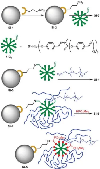 Fig. 1 Schematic representation of the strategy for dendrimer grafting and post-synthesis functionalization