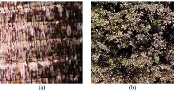 Fig. 8. Images from the VisTex database. (a) Bark.0000 and (b) Leaves.0008.