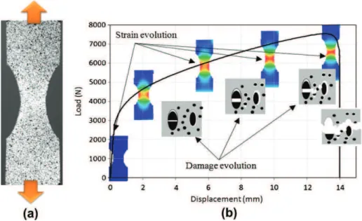 Fig. 4. (a) Tensile test of bi-entailed plate specimen, (b) evolution of the damage process in a ductile metal related to the macroscopic loading evolution.