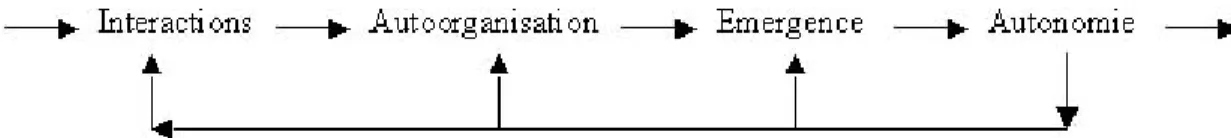 Figure 6. L’émergence ou la prise en compte de plusieurs niveaux de réalité. 
