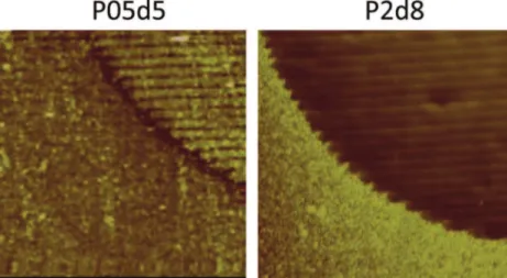 Fig. 7. AFM images showing the raised (bright) and hollow (dark) zones for P0.5d5 (a) and P2d8, respectively