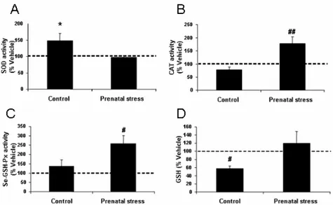 Figure 11: L’activité de la SOD était augmentée dans l’hippocampe après administration d’alcool chez les rats  adolescents témoins