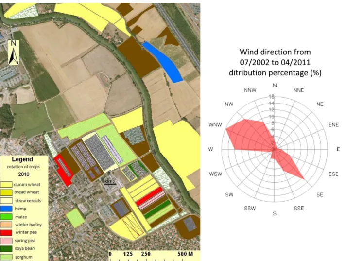 Fig. 1. Crops rotation and wind direction at the suburban site.