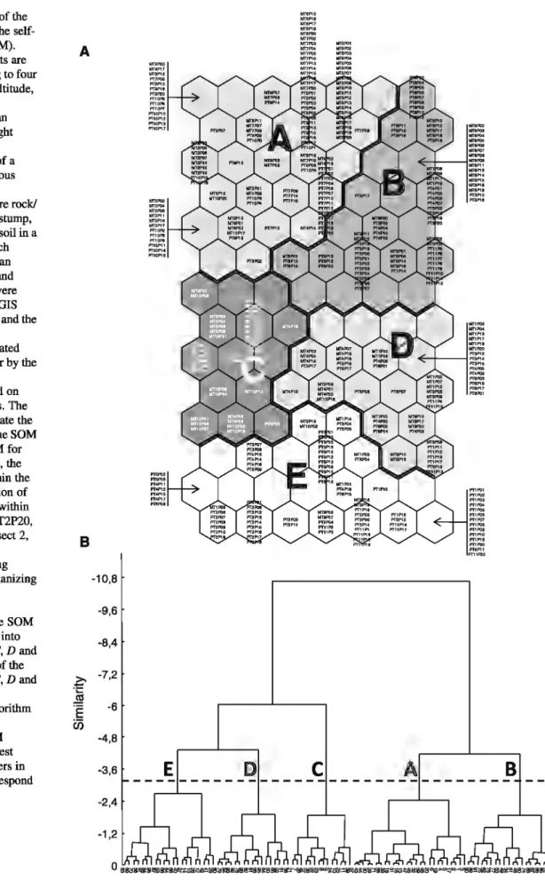Fig.  1  Distribution of the  sampling points on the  self-organizing map (SOM). 