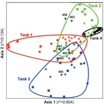 Table 3 e Indicator species analysis of the LH-mcrA fingerprints grouped by tank, regardless of sampling time, point and depth.