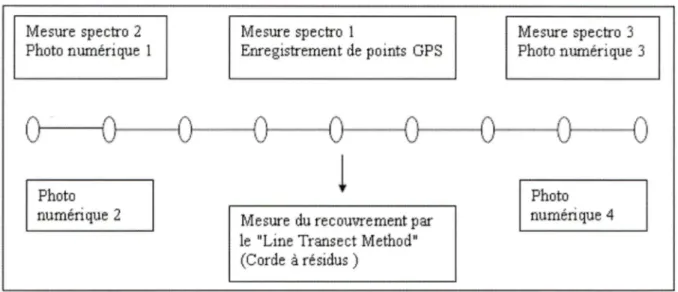 Figure 6  - Méthodologie pour la mesure du taux de recouvrement par les résidus de culture au sol par la méthode photographique.