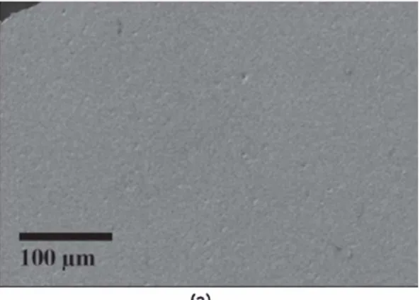 Fig,  12,  Effect of the use of loads on the curvature of the half cells. 