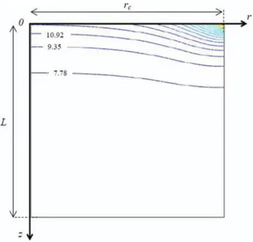 FIG. 10. Ion mass fraction isocontours at the onset of crystallization for the case C 0 = 7% and the beads 300 μm in diameter ( σ = 2)
