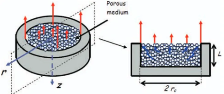 FIG. 1. Sketch of drying experiment with evaporation flux peripheral effect. The greater evaporation flux at the periphery induces greater liquid velocities within the region of the porous medium adjacent to the evaporative surface