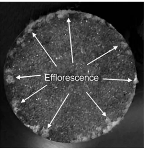 FIG. 3. Efflorescence fairy ring. Top view of surface of porous medium for the beads 300 μm in diameter shortly after the beginning of crystallisation