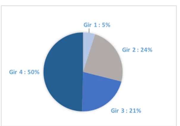 Figure 6 Répartition de la population prise en charge selon la classification GIR en  pourcentage 