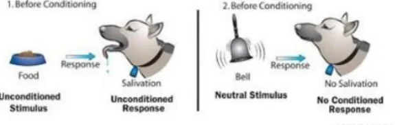 Illustration 3: Expérience de Pavlov - Part.1 – Wood, Green Wood, Boyd &amp; Hélu, L’Univers de la  psychologie, 2009 