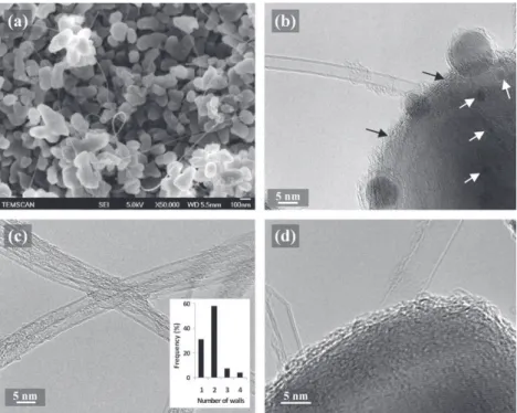 Fig. 2 – Raman spectra of the samples; from bottom to top: composite powder and sintered composite C2 (a); as-prepared DWCNTs, composite powder and sintered composite C3 (b); as-prepared DWCNTs, functionalized DWCNTs, composite powder and sintered composit