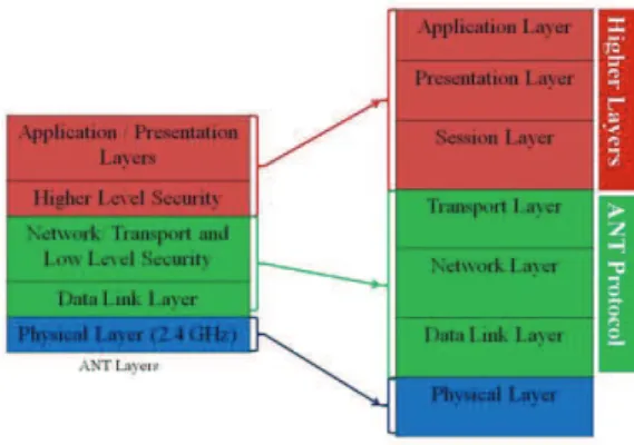 Figure 1. Correspondence between the ANT  model and the OSI model 