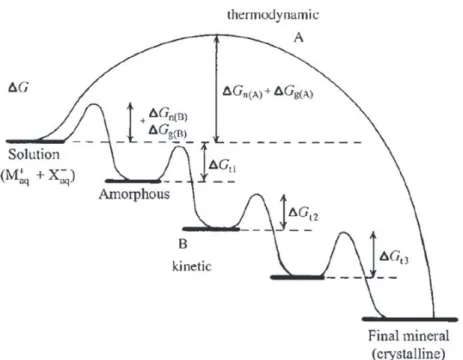 Fig. 6. Crystallization pathways under thermodynamic and kinetic control. Whether a system follows a one-step route to the ﬁnal mineral phase (pathway A) or proceeds by sequential precipitation (pathway B), depends on the free energy of activation (DG) ass