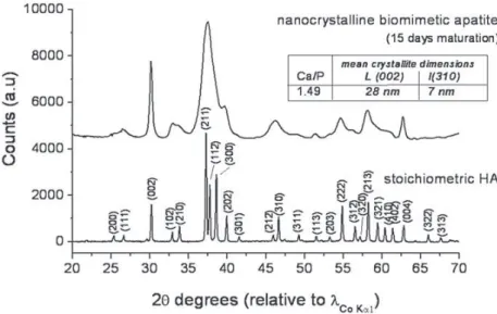 Fig. 7. XRD pattern for a nanocrystalline biomimetic apatite sample (maturation time in solution: 15 days, RT) and for stoichiometric HA