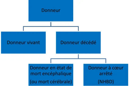 Figure 9 : Figure récapitulative des différents types de donneurs d’organes. 