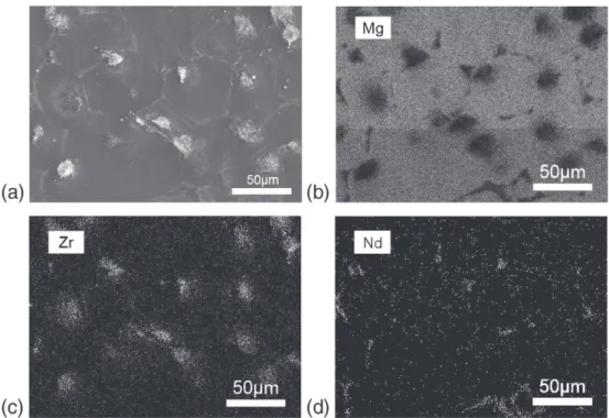 Fig. 5b shows a SEM image obtained on a backscattered electron composition mode (BSE), in order to differentiate the present  ele-ments: the magnesium substrate (light-gray), the hybrid coating (gray), the neodymium and zirconium compounds (white), and the
