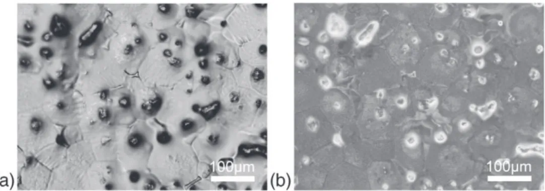 Fig. 15b shows duplex system at the end of the EIS tests. The pres- pres-ence of the conversion layer formed with 10 g L − 1 of H 3 PO 4 can be identiﬁed, as well as the corrosion products that formed under the duplex system