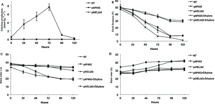 Fig. 2. Physicochemical and physiological changes in non-transformed (NT) and transformed Cantaloupe melon (Cucumis melo var