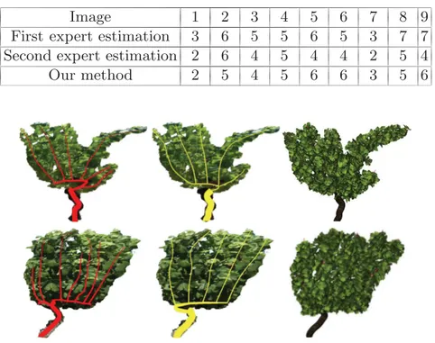 Table 1. The first row represents the number of the vine image. The second and the third rows represent the numbers of shoots drawn by the experts