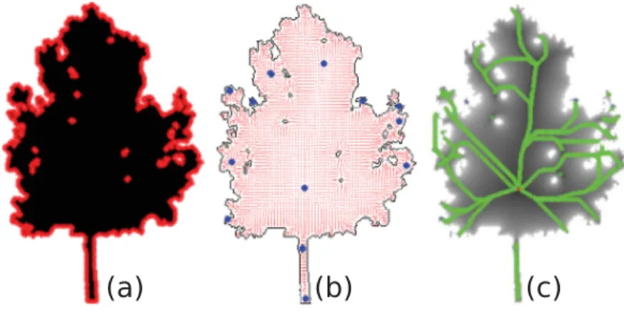 Fig. 2. Cornea et al. original method. (a) shape B with contours pixels ∈ Ω represented in red